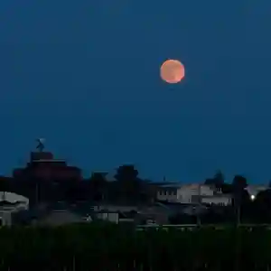 伊勢の国 四天王寺(三重県)(2025年09月08日(月) 15時19分27秒投稿)