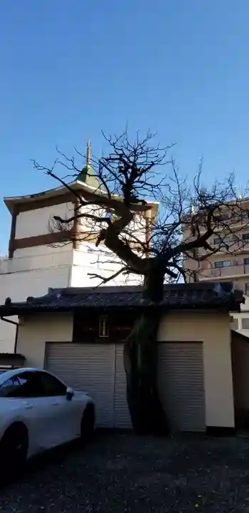 真源寺(入谷鬼子母神)のその他建物