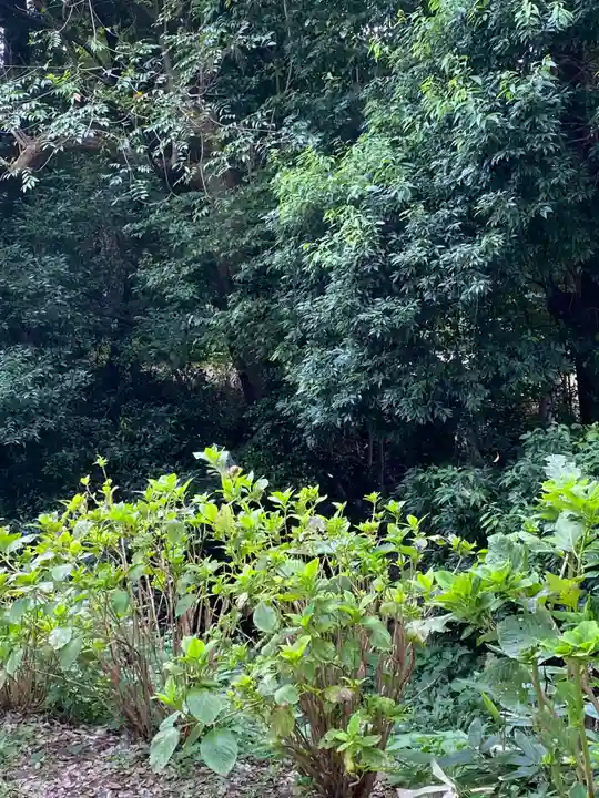 仙波東照宮の自然