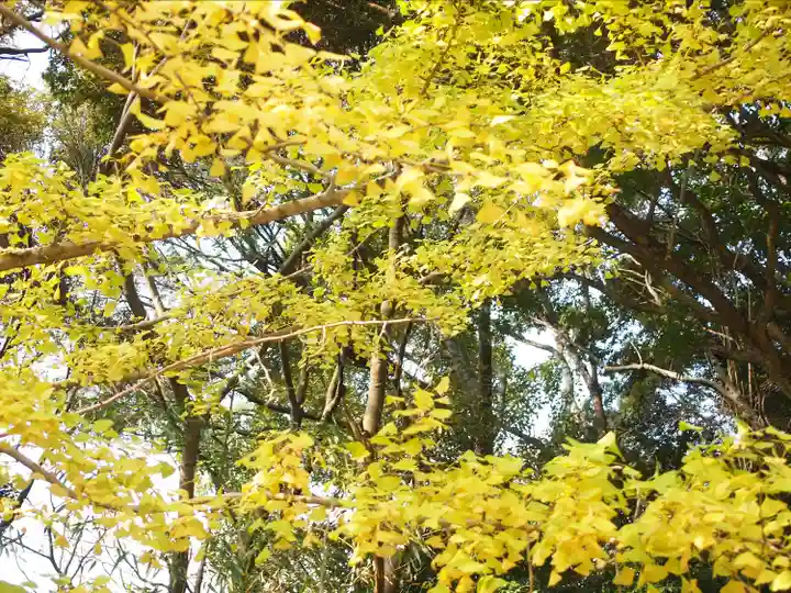 杉尾神社(和歌山県)