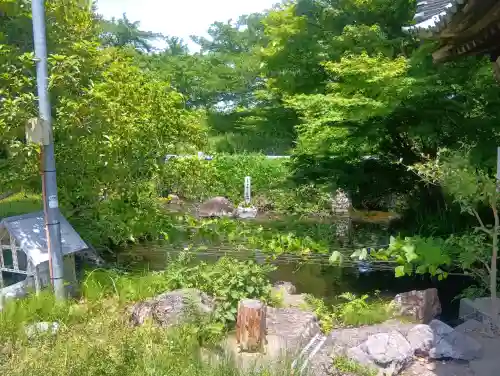 八幡神社の{uncategorized: "未分類", other: "その他", undefined: "問題あり", building: "その他建物", grave: "お墓", sacred_gate: "鳥居", guardian: "狛犬", statue: "像", buddha: "仏像", history: "歴史", nature: "自然", garden: "庭園", animal: "動物", pagoda: "塔", temizu: "手水舎", mountain_gate: "山門・神門", sanctuary: "本殿・本堂", subordinate: "末社・摂社", art: "芸術", scenery: "景色", jizo: "地蔵", ema: "絵馬", goshuin: "御朱印", omikuji: "おみくじ", items: "授与品その他", amulet: "お守り", goshuincho: "御朱印帳", eats: "食事", festival: "お祭り", votive_dance: "神楽", shichigosan: "七五三参", wedding: "結婚式", experience: "体験その他", initially: "初詣", around: "周辺", anti_infection: "感染症対策"}