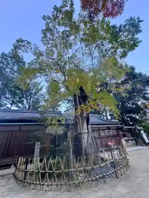 葛城一言主神社(奈良県)
