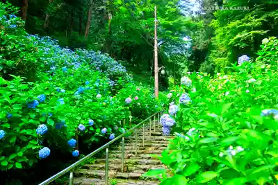 太平山神社(栃木県)