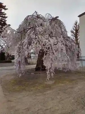 法運寺(宮城県)