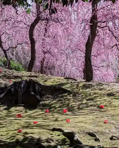 城南宮(京都府)
