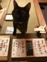 五十稲荷神社(栄寿稲荷神社)の動物