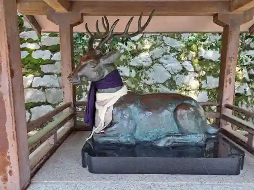 吉田神社の狛犬