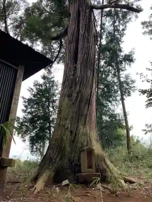 天照大神の自然