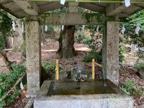 日吉大社の手水舎