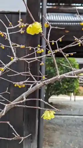 本法寺(京都府)