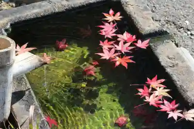 国宝 大法寺の手水舎