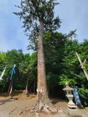 滑川神社 - 仕事と子どもの守り神(福島県)