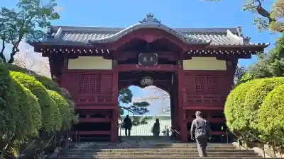 護国寺の{uncategorized: "未分類", other: "その他", undefined: "問題あり", building: "その他建物", grave: "お墓", sacred_gate: "鳥居", guardian: "狛犬", statue: "像", buddha: "仏像", history: "歴史", nature: "自然", garden: "庭園", animal: "動物", pagoda: "塔", temizu: "手水舎", mountain_gate: "山門・神門", sanctuary: "本殿・本堂", subordinate: "末社・摂社", art: "芸術", scenery: "景色", jizo: "地蔵", ema: "絵馬", goshuin: "御朱印", omikuji: "おみくじ", items: "授与品その他", amulet: "お守り", goshuincho: "御朱印帳", eats: "食事", festival: "お祭り", votive_dance: "神楽", shichigosan: "七五三参", wedding: "結婚式", experience: "体験その他", initially: "初詣", around: "周辺", anti_infection: "感染症対策"}