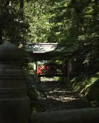 彌彦神社(新潟県)