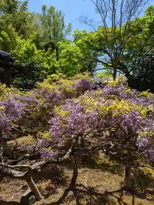 長慶院(京都府)