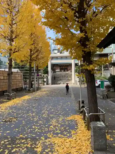 芝大神宮の鳥居