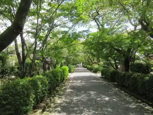 西教寺の建物その他