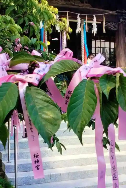 桜神宮(東京都)