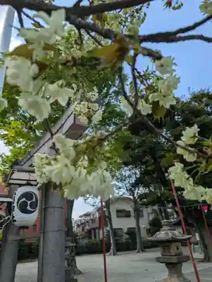 相模原氷川神社(神奈川県)