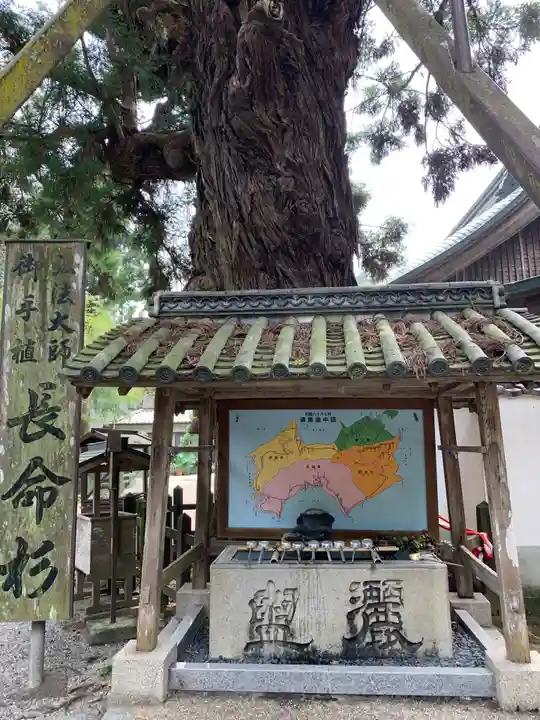 極楽寺の手水舎