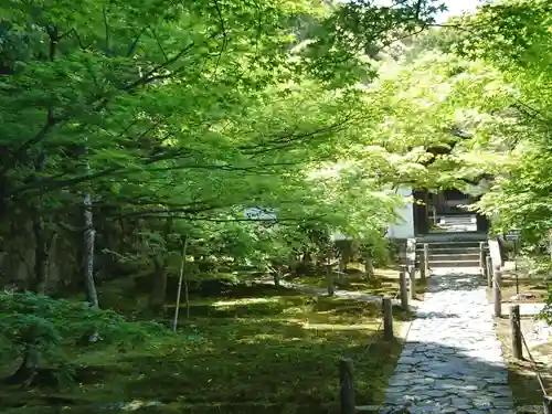 酬恩庵一休寺の庭園