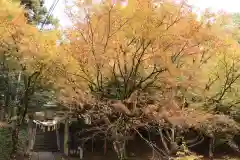 波爾布神社(滋賀県)