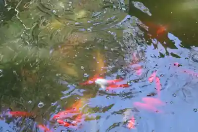 清水寺(千葉県)