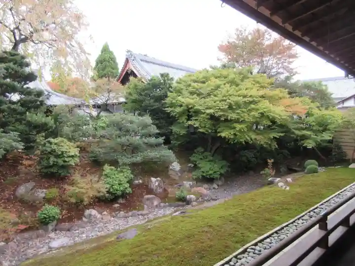 相国寺(相国承天禅寺)の庭園