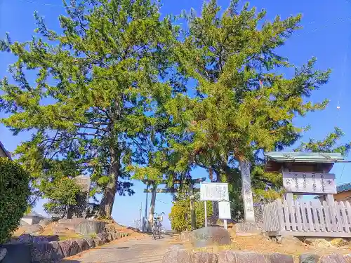 八幡神社（柴ケ森八幡社）の自然