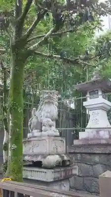 別雷神社の狛犬