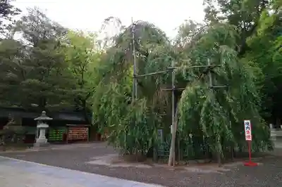 大國魂神社のその他建物