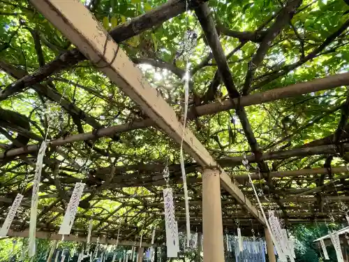 金蛇水神社(宮城県)