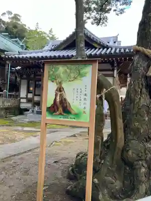 八幡竃門神社(大分県)