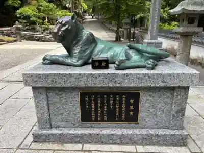 金剛證寺の{uncategorized: "未分類", other: "その他", undefined: "問題あり", building: "その他建物", grave: "お墓", sacred_gate: "鳥居", guardian: "狛犬", statue: "像", buddha: "仏像", history: "歴史", nature: "自然", garden: "庭園", animal: "動物", pagoda: "塔", temizu: "手水舎", mountain_gate: "山門・神門", sanctuary: "本殿・本堂", subordinate: "末社・摂社", art: "芸術", scenery: "景色", jizo: "地蔵", ema: "絵馬", goshuin: "御朱印", omikuji: "おみくじ", items: "授与品その他", amulet: "お守り", goshuincho: "御朱印帳", eats: "食事", festival: "お祭り", votive_dance: "神楽", shichigosan: "七五三参", wedding: "結婚式", experience: "体験その他", initially: "初詣", around: "周辺", anti_infection: "感染症対策"}