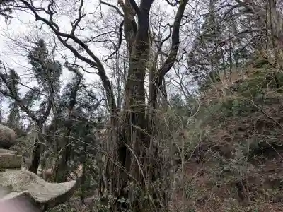 諏訪神社の{uncategorized: "未分類", other: "その他", undefined: "問題あり", building: "その他建物", grave: "お墓", sacred_gate: "鳥居", guardian: "狛犬", statue: "像", buddha: "仏像", history: "歴史", nature: "自然", garden: "庭園", animal: "動物", pagoda: "塔", temizu: "手水舎", mountain_gate: "山門・神門", sanctuary: "本殿・本堂", subordinate: "末社・摂社", art: "芸術", scenery: "景色", jizo: "地蔵", ema: "絵馬", goshuin: "御朱印", omikuji: "おみくじ", items: "授与品その他", amulet: "お守り", goshuincho: "御朱印帳", eats: "食事", festival: "お祭り", votive_dance: "神楽", shichigosan: "七五三参", wedding: "結婚式", experience: "体験その他", initially: "初詣", around: "周辺", anti_infection: "感染症対策"}