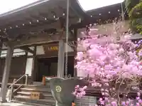 報国寺の本殿・本堂