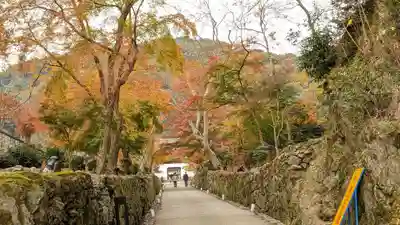 興聖寺(興聖寶林禅寺)(京都府)