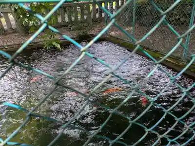 天鷹神社(岐阜県)