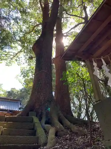 玉垣神社の自然