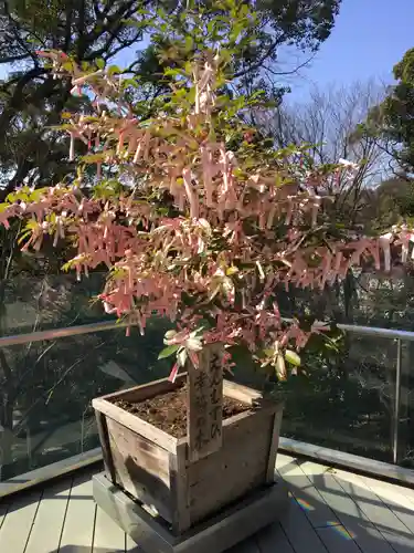 宝満宮竈門神社のおみくじ