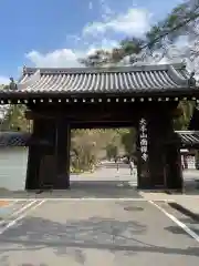 南禅寺の山門