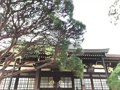 長松寺の本殿・本堂