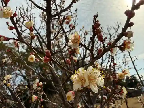 美奈宜神社(福岡県)