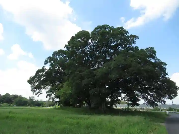 神明神社(千葉県)