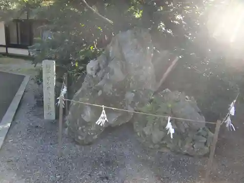 射水神社の自然