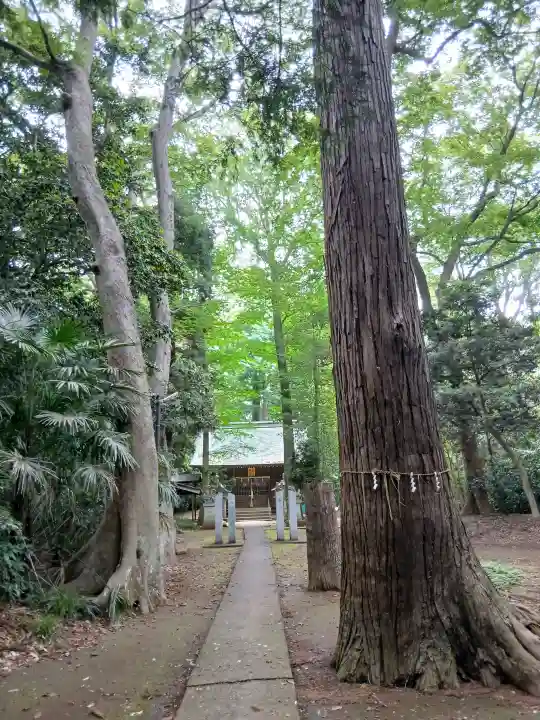 八幡春日神社(千葉県)
