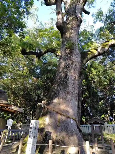 伊弉諾神宮(兵庫県)