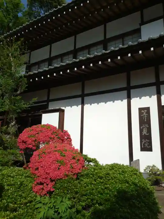 等覚院(神奈川県)