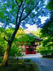 龍福寺(千葉県)