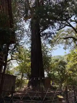 須佐神社(島根県)